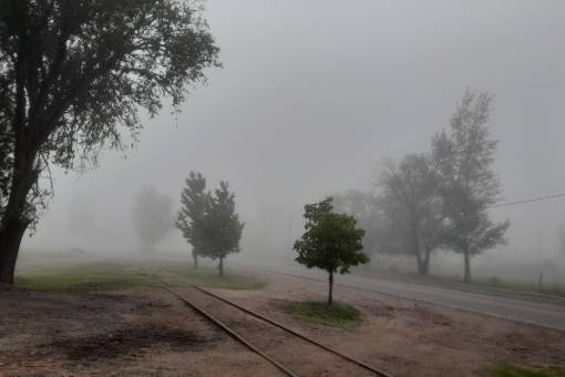 Dia de mucha humedad. A tener precaución con la niebla